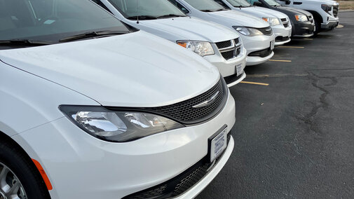 white cars image